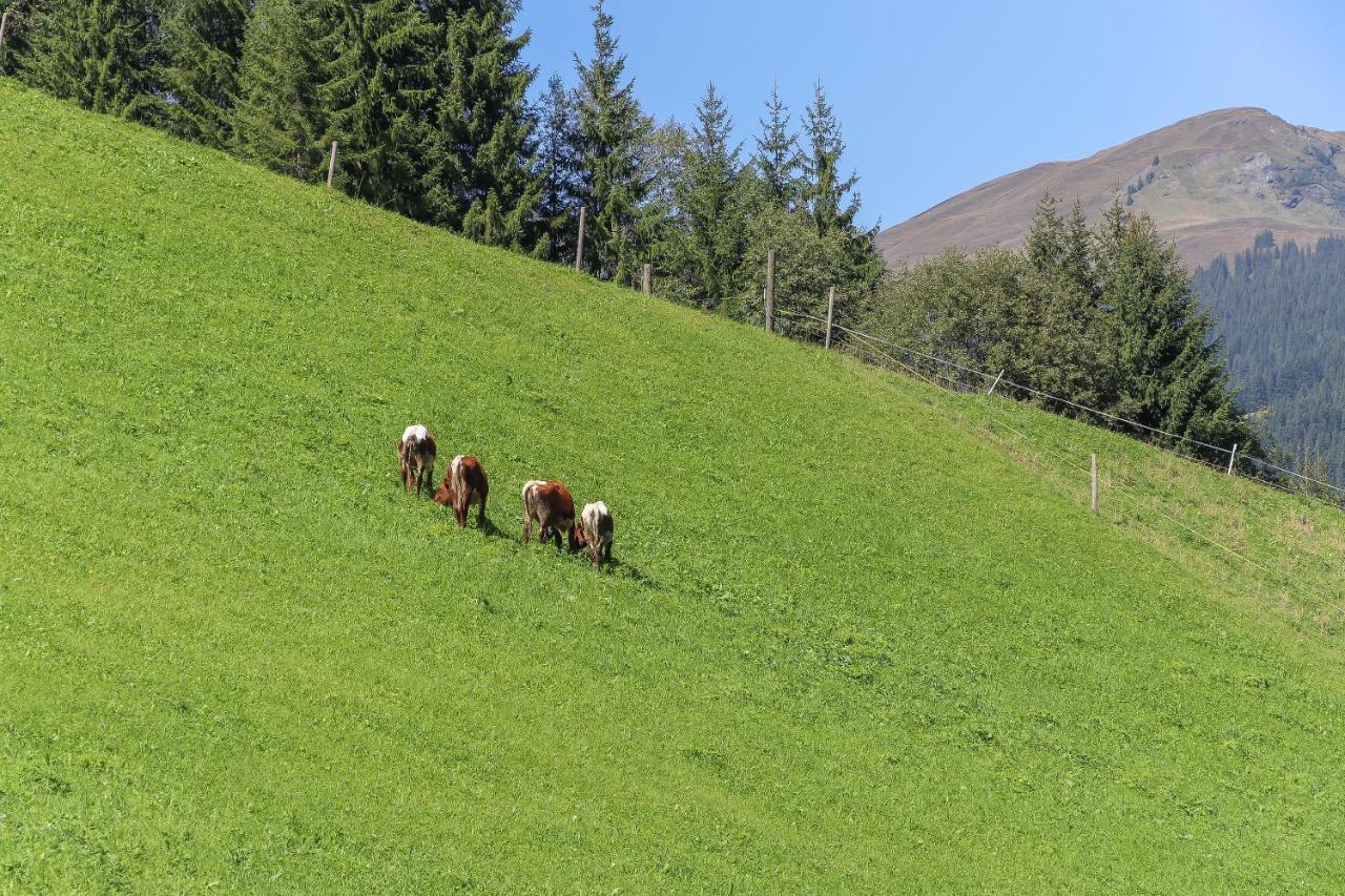 Landhaus Hinterglemm Daire Saalbach-Hinterglemm Dış mekan fotoğraf